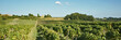 Cultures et vignes