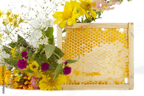 Foto: Honey Honey