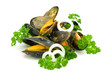 Photo: boiled mussels on white background boiled mussels on white background