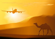 Detailed vector camel,jet, and sunset.