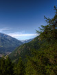Montagne panorama e foresta