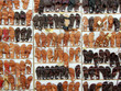Chaussures à l'étalage