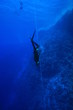 Freediver