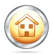 Home gold and silver icon