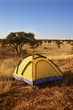 Yellow tent in the wilderness
