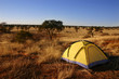 Yellow tent in the wilderness