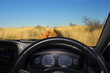 Off road vehicle in the wilderness
