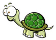 cartoon  turtle
