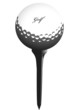 golf vector illustration