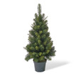 Weihnachtsbaum