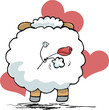 sheep from back
