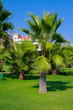 tropical park