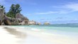 Dreaming at the Beach