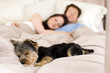 Couple in bed