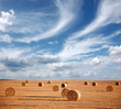 Hay bales