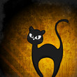 Mysterious halloween black cat Mysterious halloween black cat