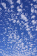 schäfchenwolken -3