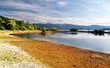 Shore - Liptovska Mara Lake Shore - Liptovska Mara Lake