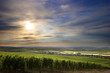 Weinberge in Rheinhessen Weinberge in Rheinhessen