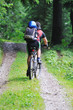 mountain bike