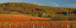 Automne en Vallée du Lot, Périgord