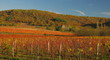 Automne en Vallée du Lot, Périgord