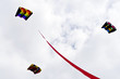 Three colorful kites