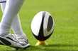 rugby ball