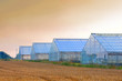 greenhouses dawn