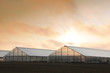 greenhouse sunrise 2