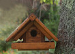 Photos : cabane à oiseaux
