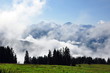 Dans le brouillard
