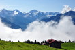 Brume