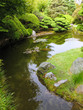 japanese garden in the middle of San Francisco