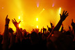 Cheering crowd at concert Cheering crowd at concert