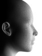 Text - latinum HR
