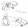 Bird Doodles