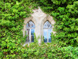 Fenster mit Efeu Fenster mit Efeu