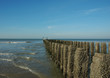 Northsea shore 1