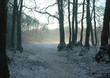 Winter 2