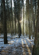Winter 1