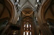 Cathédrale Genève