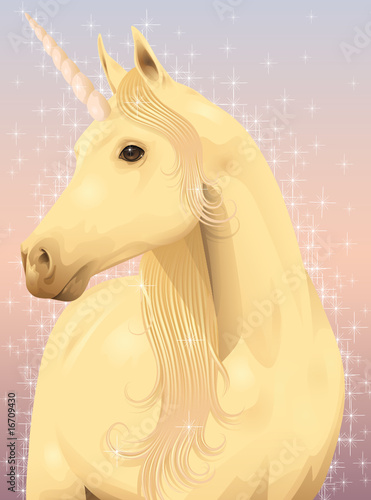 Vector: Magic unicorn. Magic unicorn.