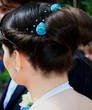 chignon chignon
