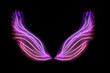 Wings on black