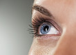 Blue eye on grey background (shallow DoF) Blue eye on grey background (shallow DoF)