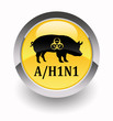 ''H1N1 virus'' glossy icon