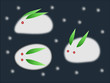 雪うさぎ