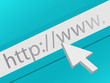 Surf the web