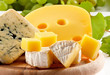 Various types of cheese composition Various types of cheese composition
